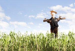 scarecrow2